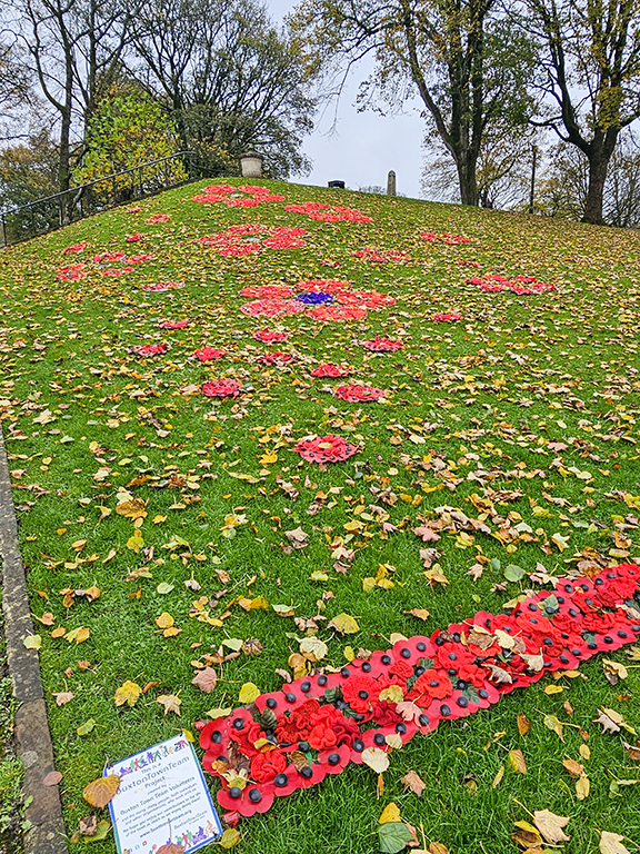 Yarn Bombing for Remembrance Day, Buxton