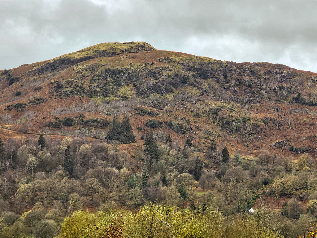 Silver How, Grasmere, from Town End