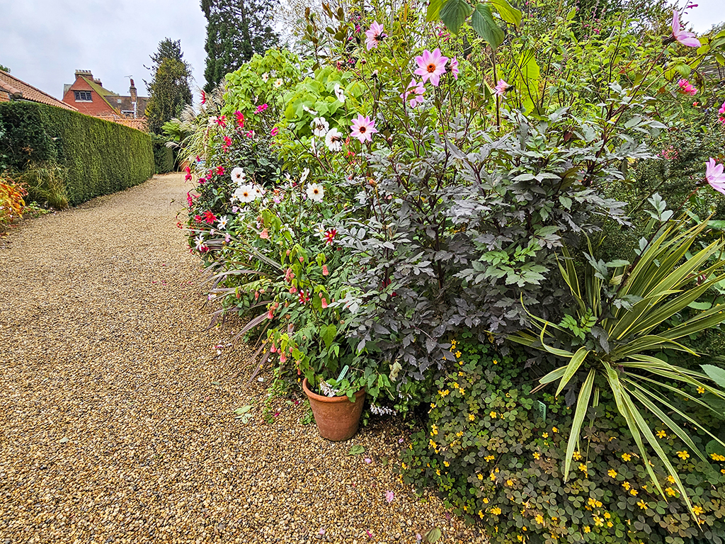 A border at the Vicarage Garden