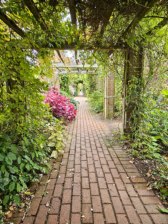 Vicarage garden walk